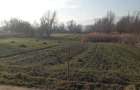 Teren de 800 mp, în Șelimbăr - 2