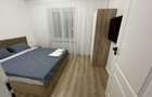 Apartament situat in centru intre teatru si primarie , renovat si mobilat/utilat complet - 8