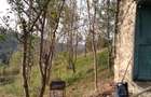 Casă cu 3 camere în Brusturi - 1