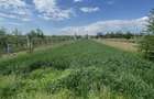 Vand teren 1600 m2, Dragomire?ti Dambovita - 3