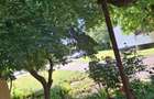 Vand apartament 2 camere confort 1 - 2