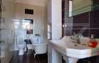 Apartament cu 2 camere semidecomandat în Iosefin - 8