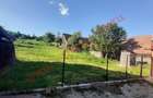 Casă cu 4 camere cu Teren 2549 Mp în Beia - 5
