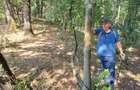 3200 mp padure Ilovat Mehedinti - 4