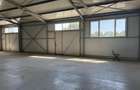 Spatiu comercial 280 mp + 700 mp curte, Filiasi - 6