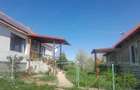 Casă cu Teren 30000 Mp în Șinteu - 4