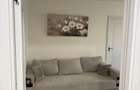 Apartament Doua Camere Calea Girocului - 4