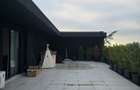 Penthouse 3 camere | 197 mp | 2 parcari subterane | Mobilat si utilat - 6