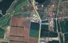 Teren Construcții intravilan de 5005 mp, în Snagov - 4