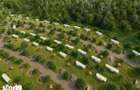 Lot de teren cu autorizatie si proiect casa 500mp Snagov - 12