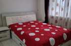 Apartament 3 camere Bistrita Lac - 2