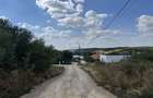 Teren agricol intravilan de 6372 mp, în Paleu - 4 Teren agricol intravilan de 6372 mp, în Paleu - 4
