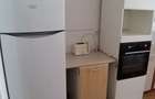 Apartament cu 2 camere decomandat în Olteni - 8