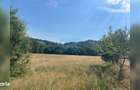 Teren cu potential turistic, cadru natural rar, 20.000 mp Sacuieu - 13