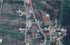 Teren intravilan 900 mp zona Hanul Pescarilor, Saldabagiu de Munte - 2