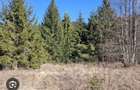 Teren de 26000 mp, în Dealu Negru - 3