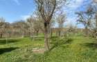 Casă individuală cu 2 camere cu Teren 10000 Mp în Apahida - 5