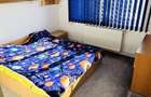 Apartament 3 camere decomnadat Alfa - 5