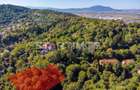 Teren de 2385 mp, în Schei - 10