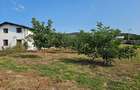 Casă individuală cu 4 camere cu Teren 3299 Mp în Pietroasele - 15