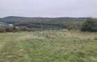 Teren Construcții extravilan de 1000 mp, în Feleacu - 5
