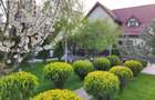 Casa 3 camere Domnesti - 10
