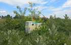 Teren 350 MP Intravilan Deschidere 16MP Vidra - 2