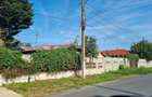 Teren Construcții intravilan de 10000 mp, în Cernica - 2