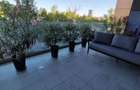 Apartament cu 3 camere decomandat în Domenii - 6