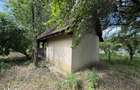 Teren intravilan / gradina cu cabanuta , zona Bercu Rosu - 4