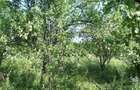 Teren intravilan Trundin 5349 mp, judet Valcea - 2