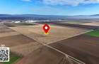 Teren 32,5 Ha compact Prejmer, Brasov. Imagini drona,tur/360 - 4