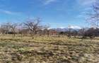Teren de 1340 mp, în Viștea - 3