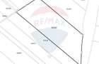Teren agricol extravilan de 50000 mp, în Hălchiu - 3