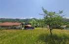 FILM! 1.450 mp intravilan, la DN, incantare peisagistica, Bran, Moieciu, Brasov - 10