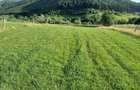 Teren extravilan de vanzare la munte, 5000 m.Marajdie Gura Raului. - 5