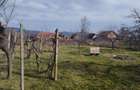 Casă individuală cu 4 camere cu Teren 1800 Mp în Buteni - 4