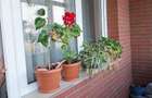 Vanzare apartament 3 camere, Petre Ispirescu - 7