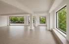 Spartiu comercial birouri Iancu Nicolae stradal bloc nou - 8