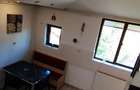 Apartament cu 2 camere semidecomandat în Parcul Carol - 11