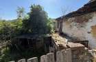 Teren + casa veche de vanzare in Toplet zona linistita, aproape de natura - 5