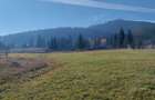 Teren de vanzare in Bucovina - 7