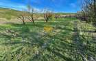 Teren agricol de 5500 mp, în Sopor - 4