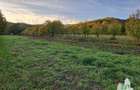 Teren Construcții intravilan de 1815 mp, în Măneciu-Pământeni - 6