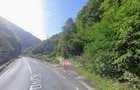 Vanzare teren/padure loc. Sugag - Jud. Alba - 4