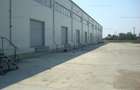 Spațiu industrial, de 1,600 mp, în Cernica - 2