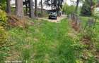 Teren Construcții intravilan de 2300 mp, în Palanca - 4