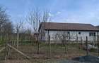 De vanzare ferma comuna Pestera, judetul Constanta - 1