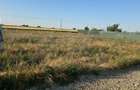 Proprietar Vand Teren Intravilan 500 mp Livada de Bihor Zona rezidentiala noua cu potential geotermal - 2