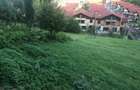 Teren Construcții intravilan de 2900 mp, în Noua - 3